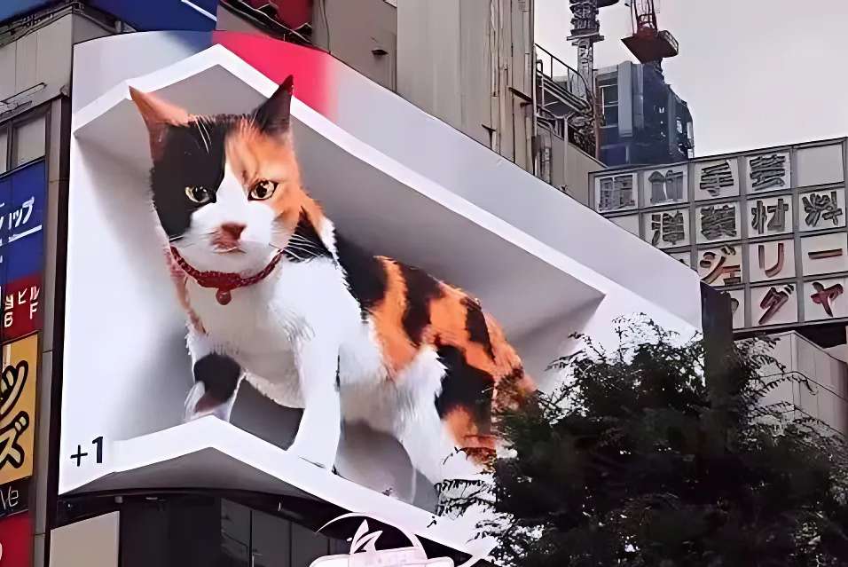 Immersive digital display